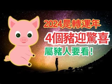 2024豬運勢|【2024豬年】生肖豬2024好運滾滾來！屬豬運勢、幸。